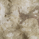 A section of the cave painting.
